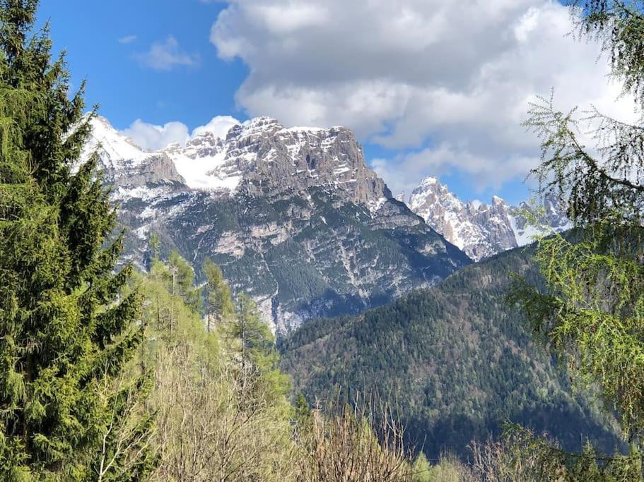 Appartamento Giada Pozzale Di Pieve Di Cadore Exteriér fotografie